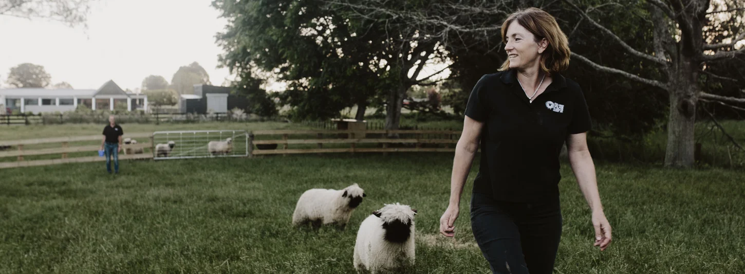 Farmlands at Harvey Norman NZ