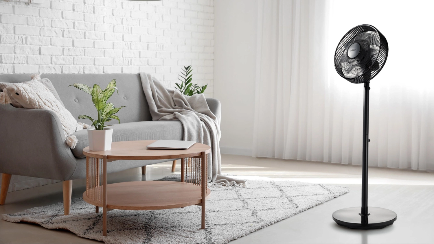 A Goldair whisper-quiet pedestal fan in black, placed in a modern living room with a grey sofa, wooden coffee table, indoor plant, and light-colored rug on a wooden floor, with natural light coming through sheer curtains