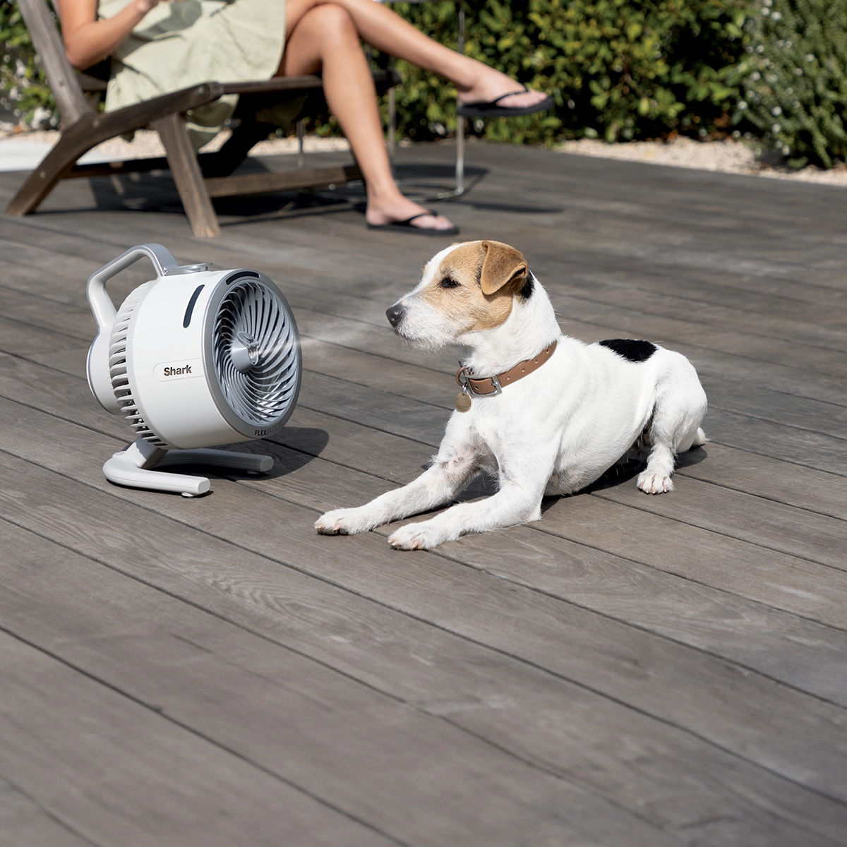 A Shark FlexBreeze portable misting fan keeps a Jack Russell Terrier cool on the deck.