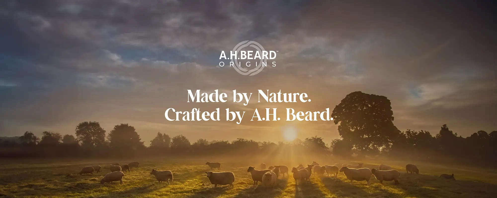 AH Beard at Harvey Norman NZ