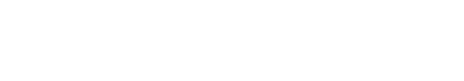 Advanced One logo